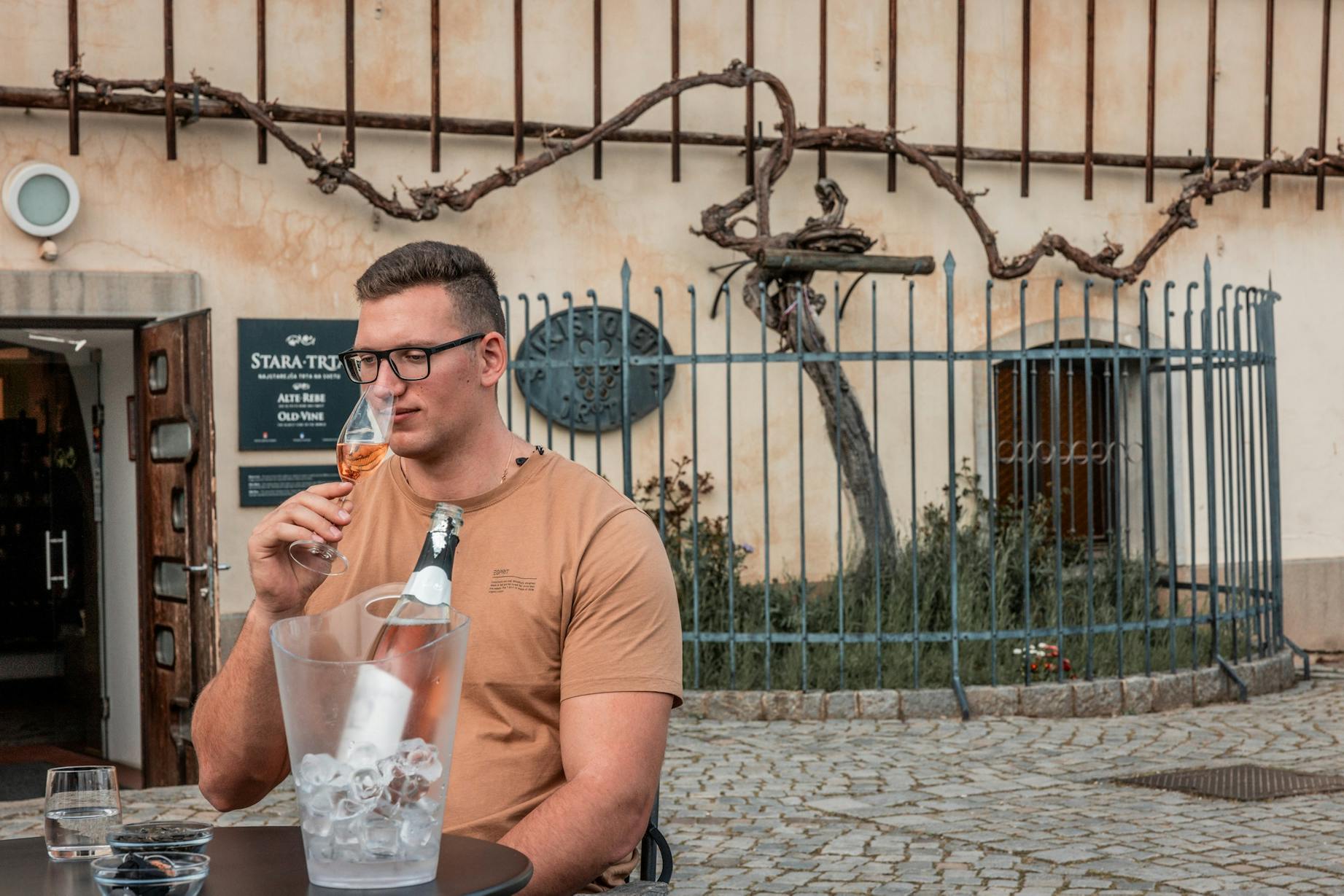 Najstarejša trta, Kristjan Čeh, Maribor